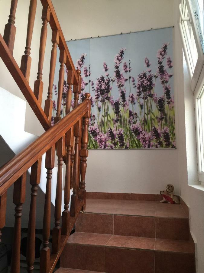 Apartments Villa Dolmar Vodice Dış mekan fotoğraf